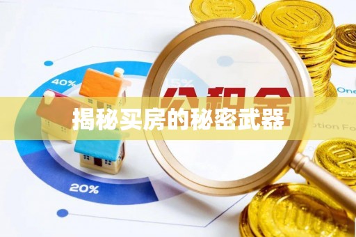 丰顺揭秘买房的秘密武器