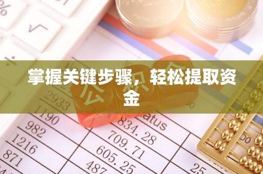 丰顺掌握关键步骤，轻松提取资金