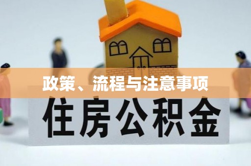 丰顺政策、流程与注意事项