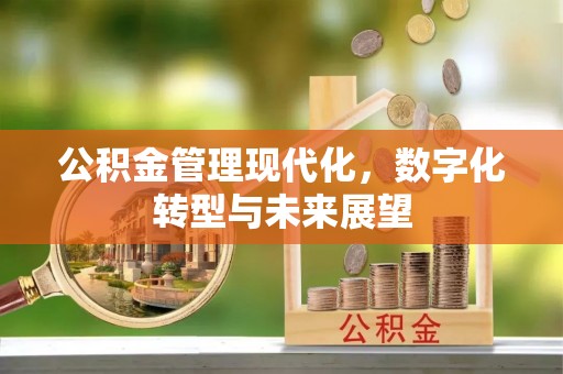 丰顺公积金管理现代化，数字化转型与未来展望