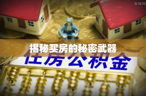 丰顺揭秘买房的秘密武器