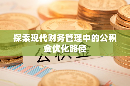 丰顺探索现代财务管理中的公积金优化路径