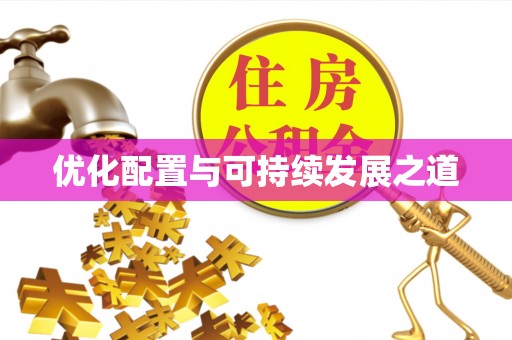 丰顺优化配置与可持续发展之道